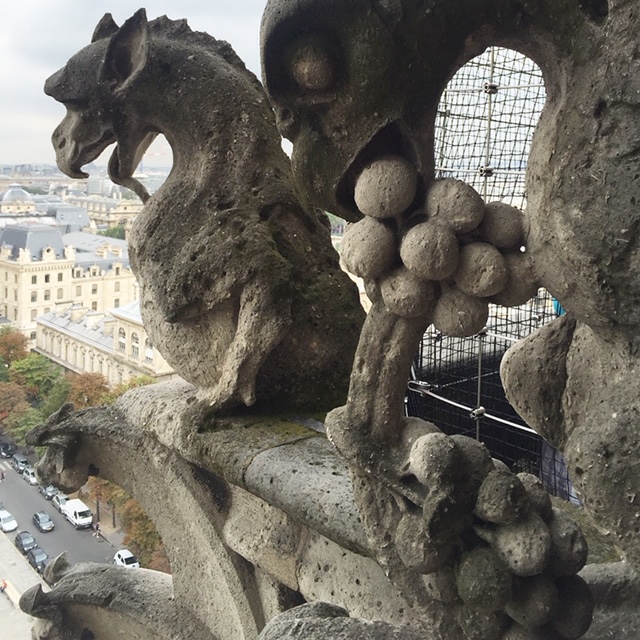 L'immagine raffigura un altro dei Gargoyle di Notre Dame
